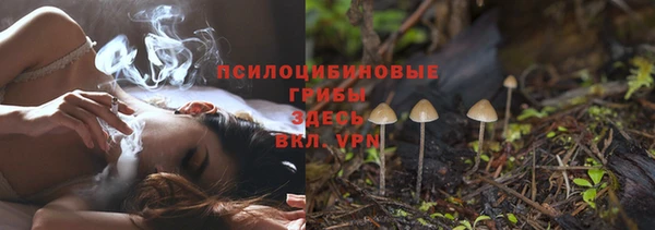 ГАЛЛЮЦИНОГЕННЫЕ ГРИБЫ Ладушкин