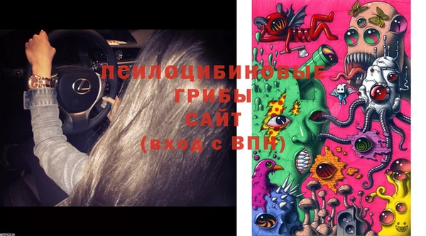 первитин Лиски