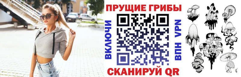 Купить  Соликамск  Галлюциногенные грибы Cubensis 